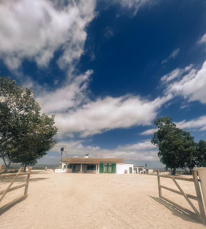 Masia Blanca Deltebre Exterior foto